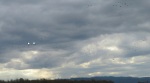 cloudsky-cranes (2)_LI